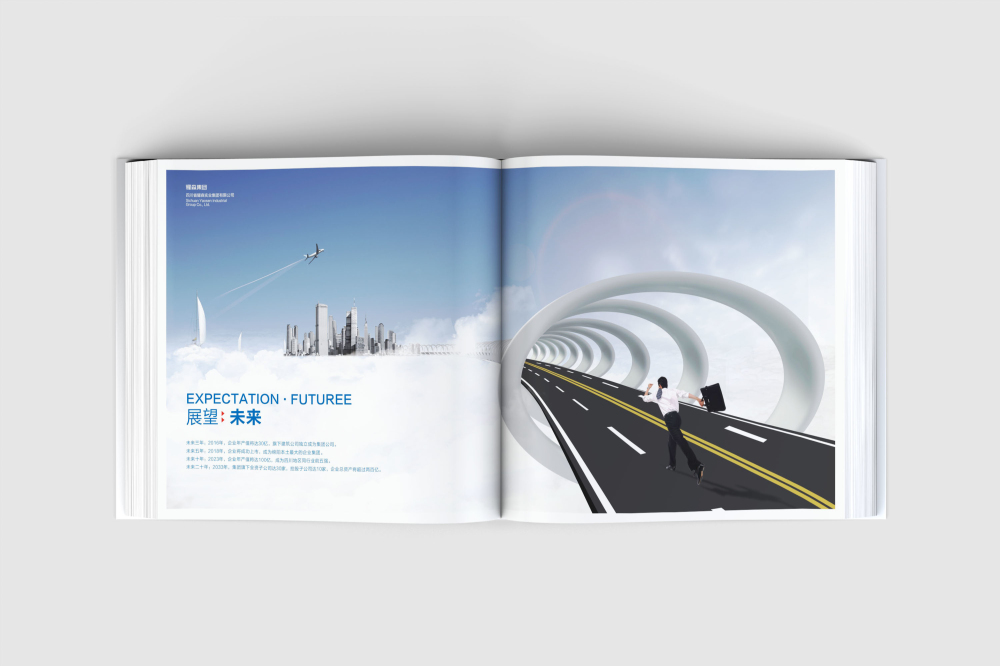 永定区画册设计